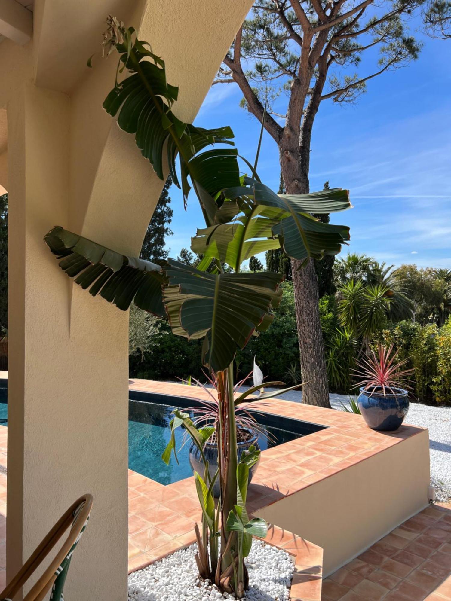 Maison D'Orange - La Pinede Saint-Tropez Kültér fotó